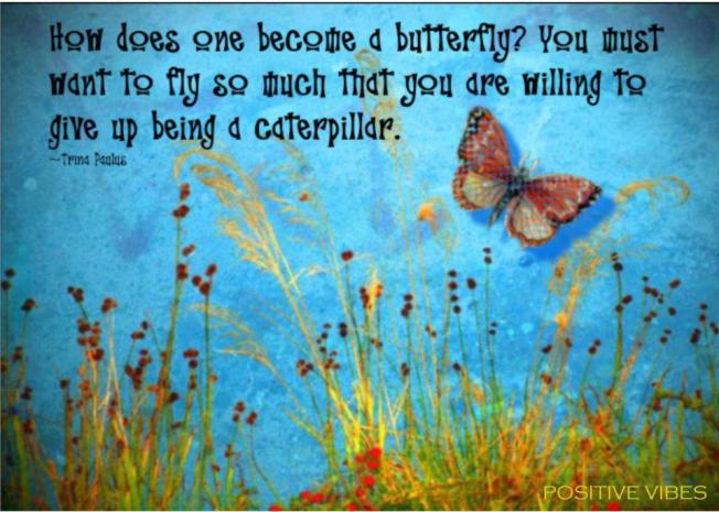 becoming a butterfly