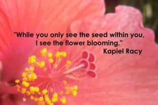 kapiel racy flower blooming