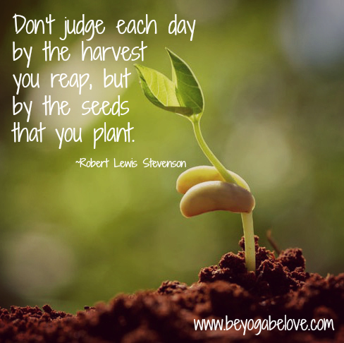 little sprout stevenson quote