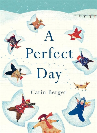 perfect day book
